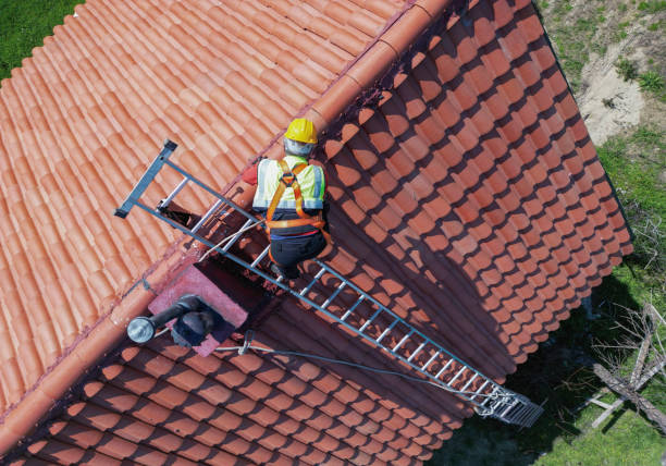 Fast & Reliable Emergency Roof Repairs in Placeholder9